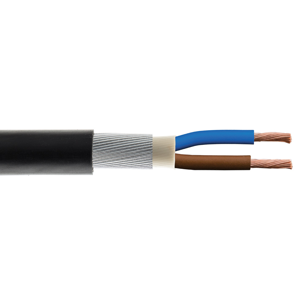 Image for 6942X PVC 16mm 2 Core Armoured Cable 1M