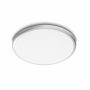 Philips Spray LED Ceiling Light 12W Silver #