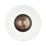 Collingwood LED Downlight Dimmable White Bezel 2700K IP44