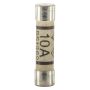 10A Mains Plug Top Fuse 230V