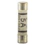 5A Mains Plug Top Fuse 230V
