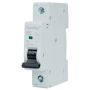 Fusebox Type B Curve MCB 40A Single Pole MT06B401