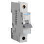 Hager MTN106 MCB 6A SP Type B