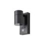 Forum Zink Leto GU10 Outdoor Spotlight PIR Anthracite