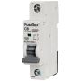 Fusebox C Curve MCB 6A Single Pole MT10C061