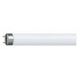 Fluorescent Tube T8 70W 6ft 840 4000K Cool White #