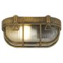 Searchlight Bulkhead Oval Outdoor Light Black Gold with Clear Glass