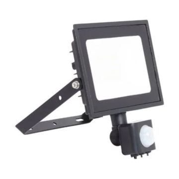 Image of Ansell Eden 20W LED Floodlight PIR 4000K Black