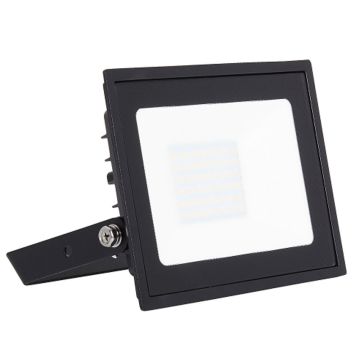 Image of Ansell Eden 30W LED Floodlight 4000K Black