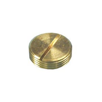 Image of 20mm Slotted Plug Brass