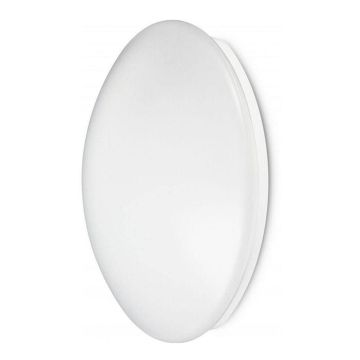 JCC RadiaLED Bulkhead Light 32W 4000K IP44