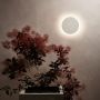 Astro Eclipse Round 300 LED Wall Light Matt Concrete