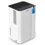 Rointe Drypure 12L Dehumidifier DHDI12