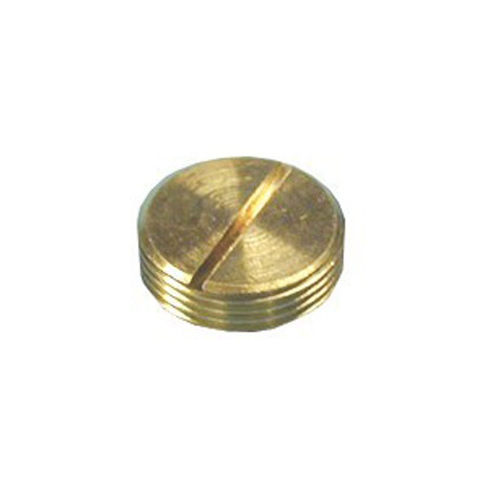 Image for 20mm Slotted Plug Brass