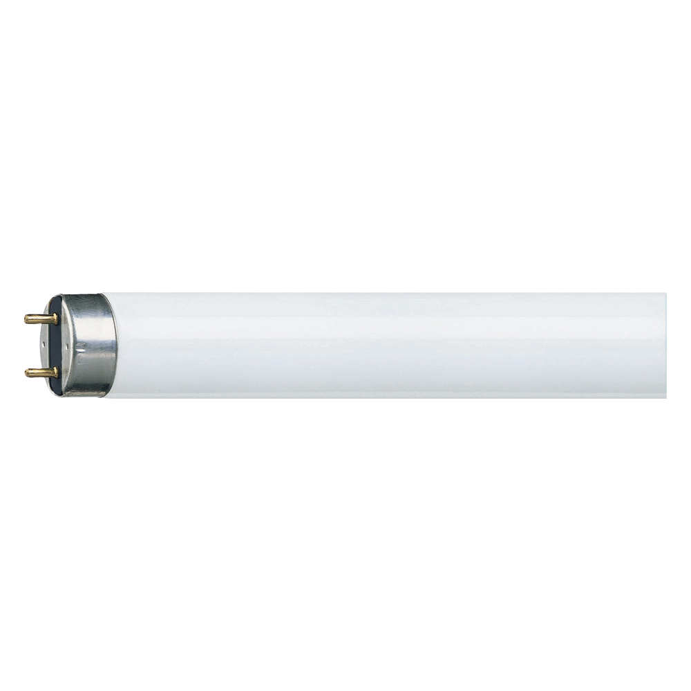 Fluorescent Tube T8 70W 6ft 835 3500K White