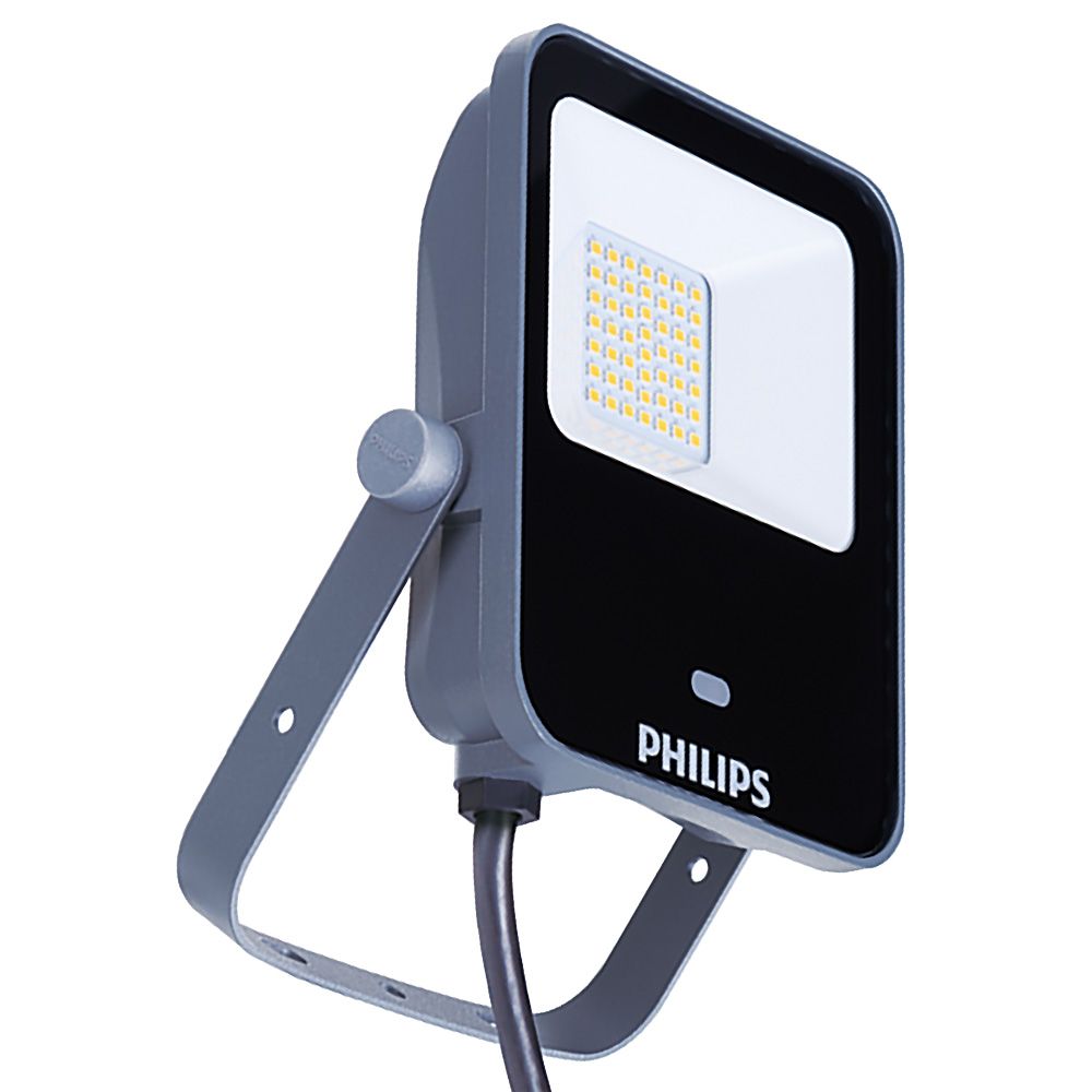 Philips Microwave Sensor Floodlight